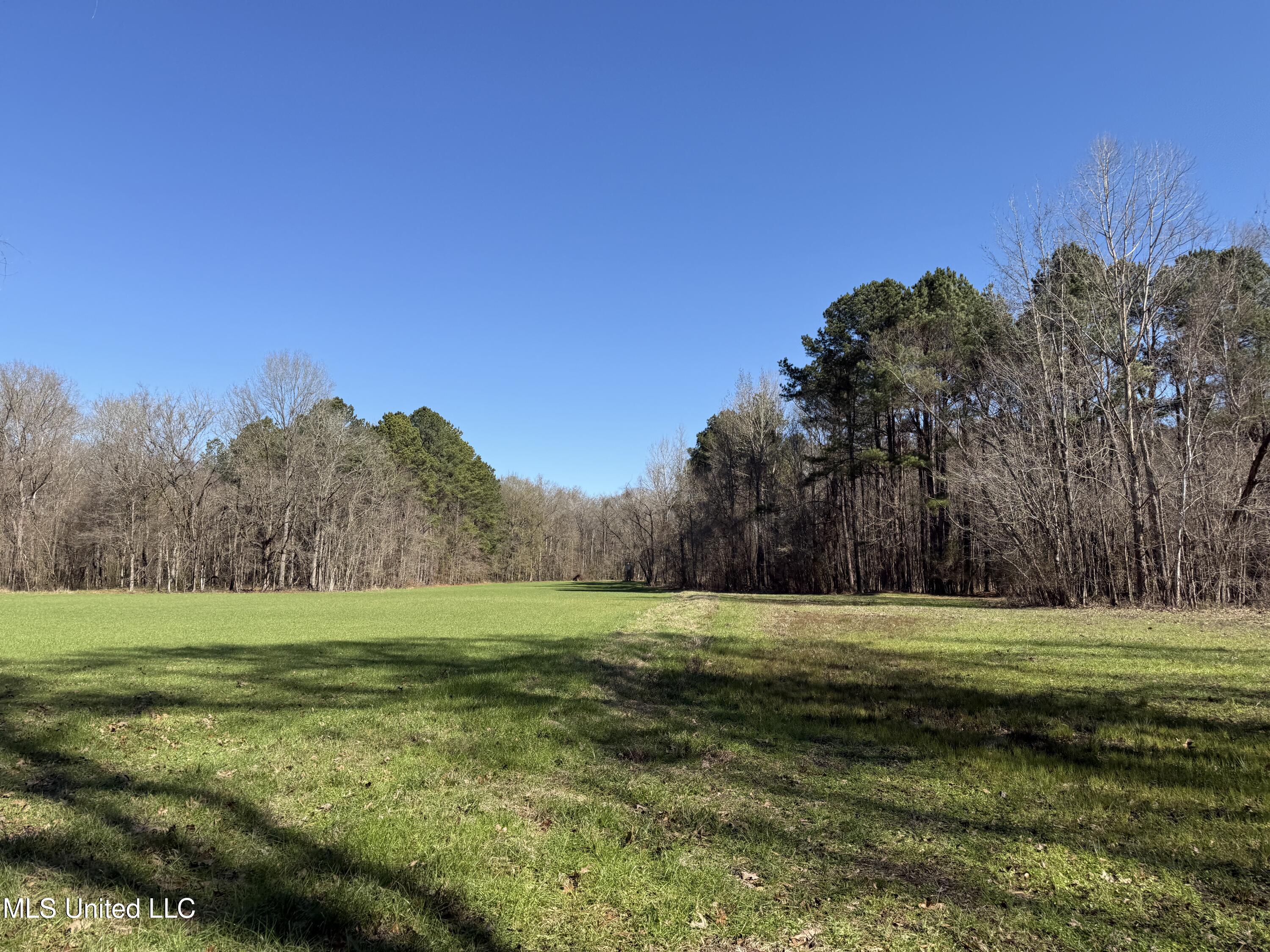 114 Huff Lane Property Photo 52