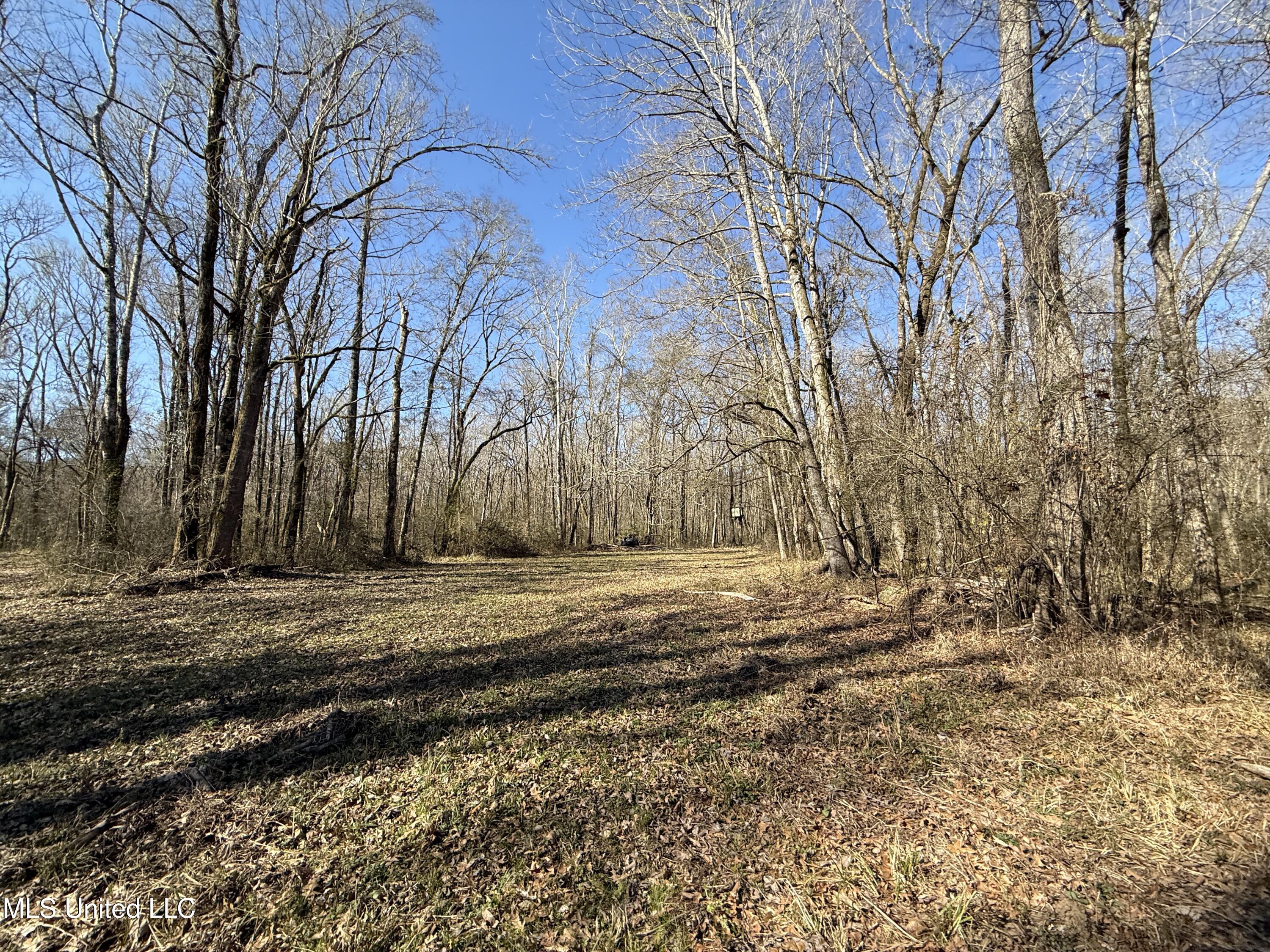 114 Huff Lane Property Photo 54