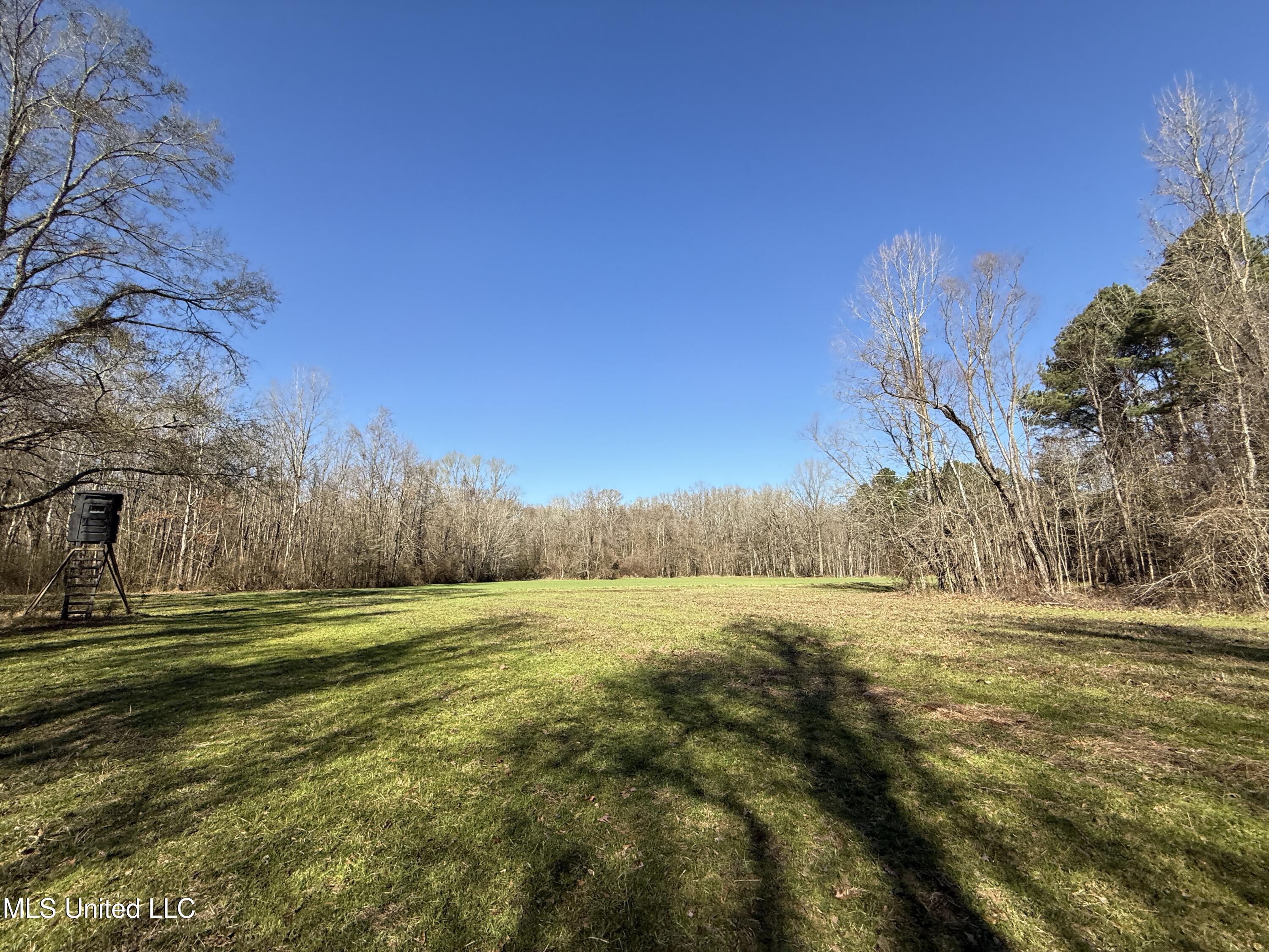 114 Huff Lane Property Photo 55