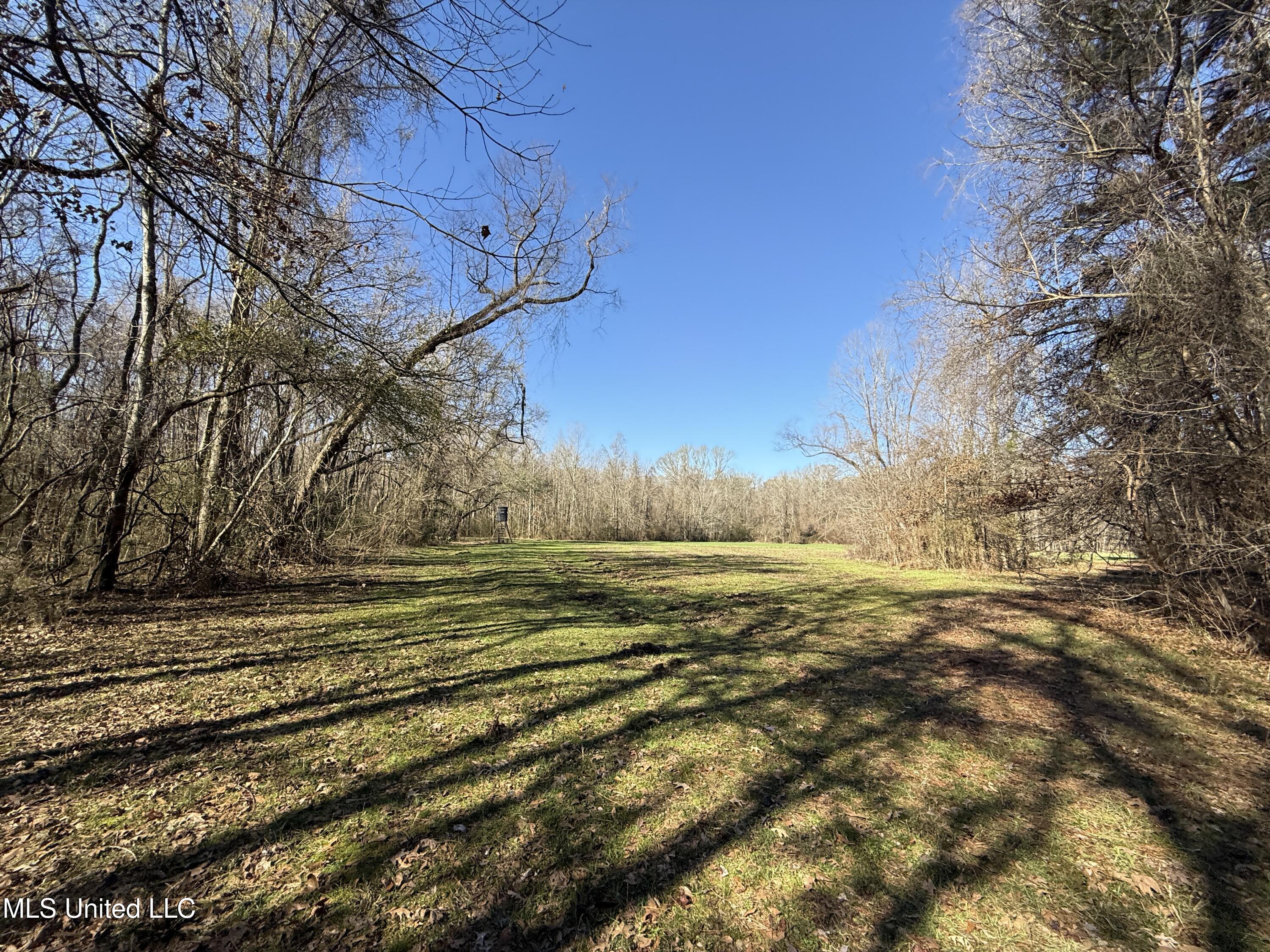 114 Huff Lane Property Photo 56