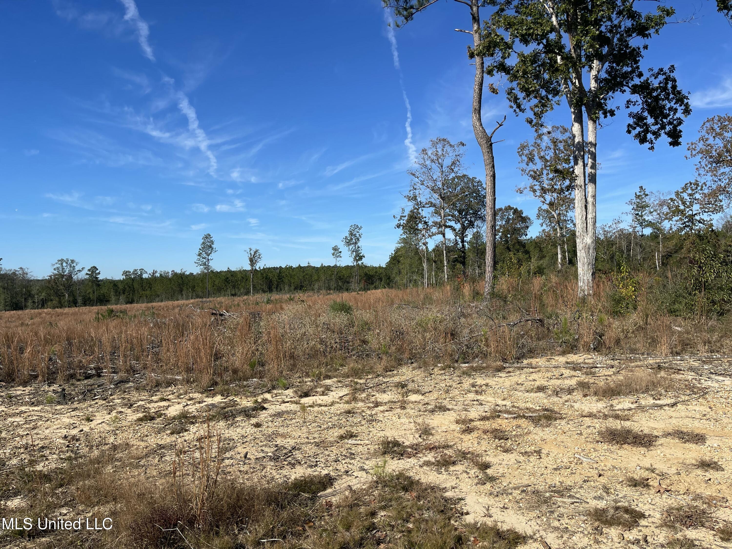 Underwood Ball Road Property Photo 5