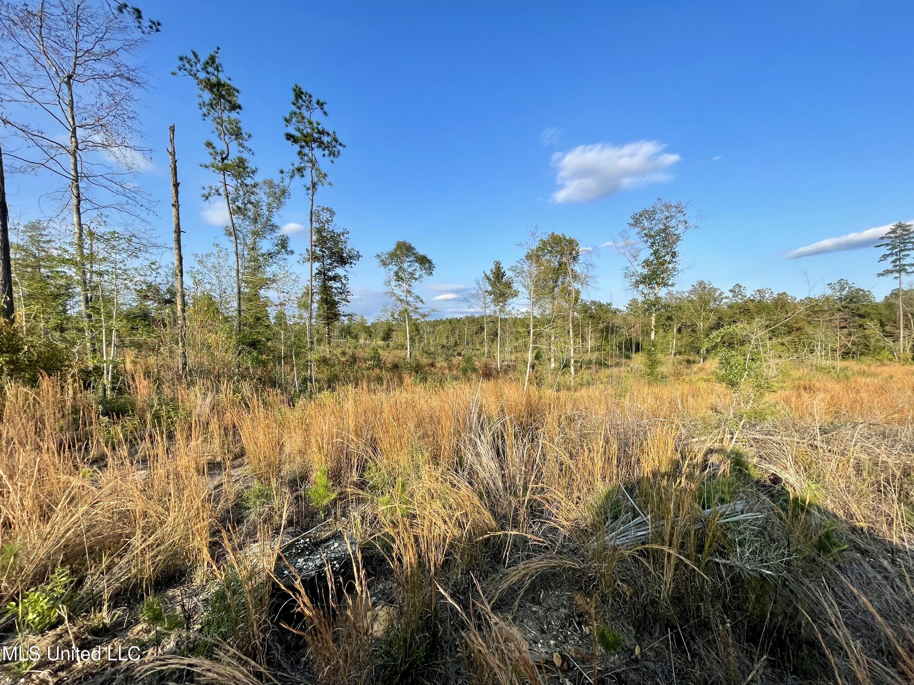 Underwood Ball Road Property Photo 6