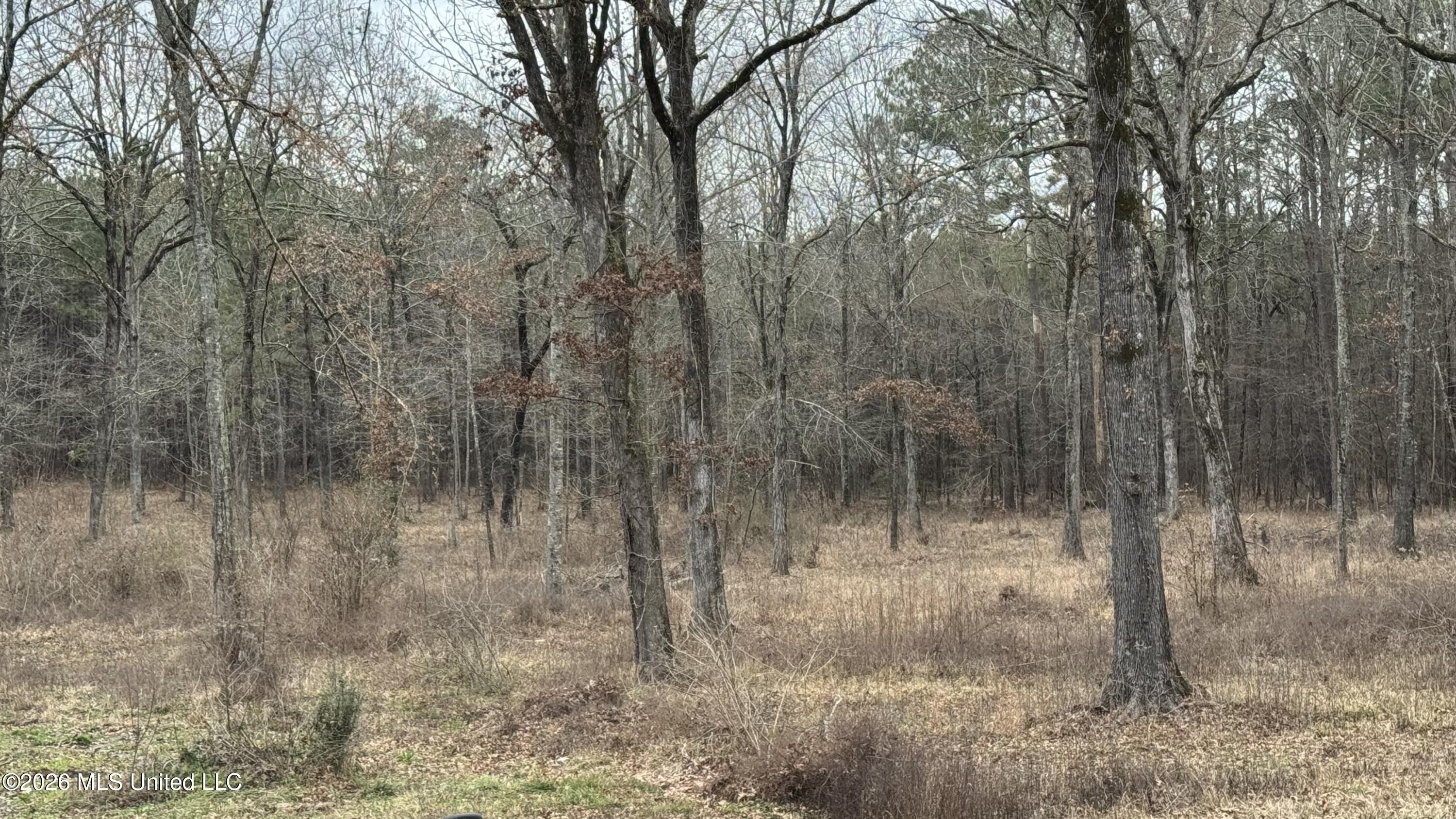 4964 Blossom Hill Road Property Photo 21