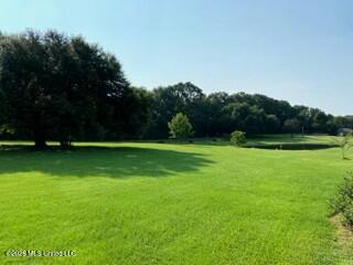 1021 Elarton Road Property Photo 4