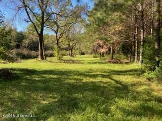 1021 Elarton Road Property Photo 5