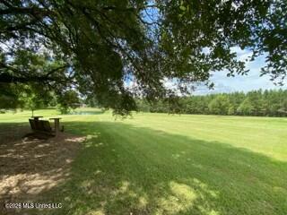 1021 Elarton Road Property Photo 6