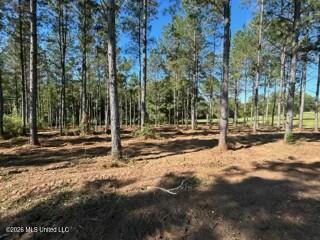 1021 Elarton Road Property Photo 28
