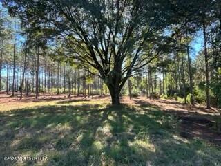 1021 Elarton Road Property Photo 29