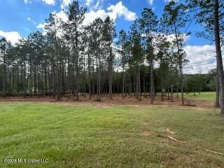 1021 Elarton Road Property Photo 35