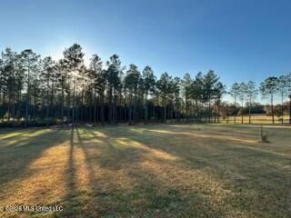 1021 Elarton Road Property Photo 38