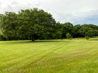 1021 Elarton Road Property Photo 42
