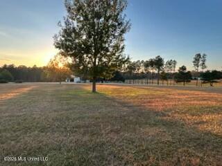 1021 Elarton Road Property Photo 44