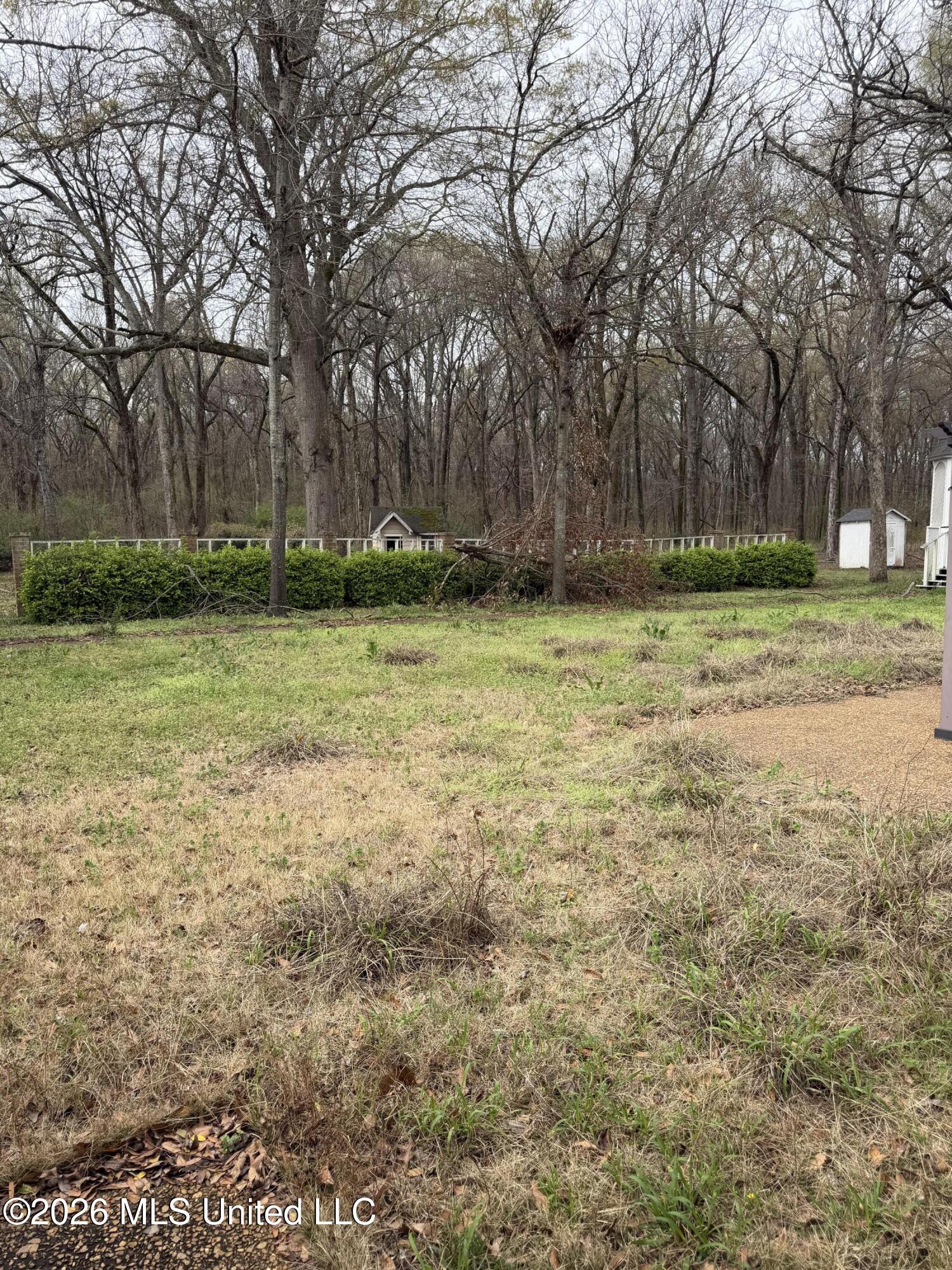 2110 Carol Street Property Photo 10