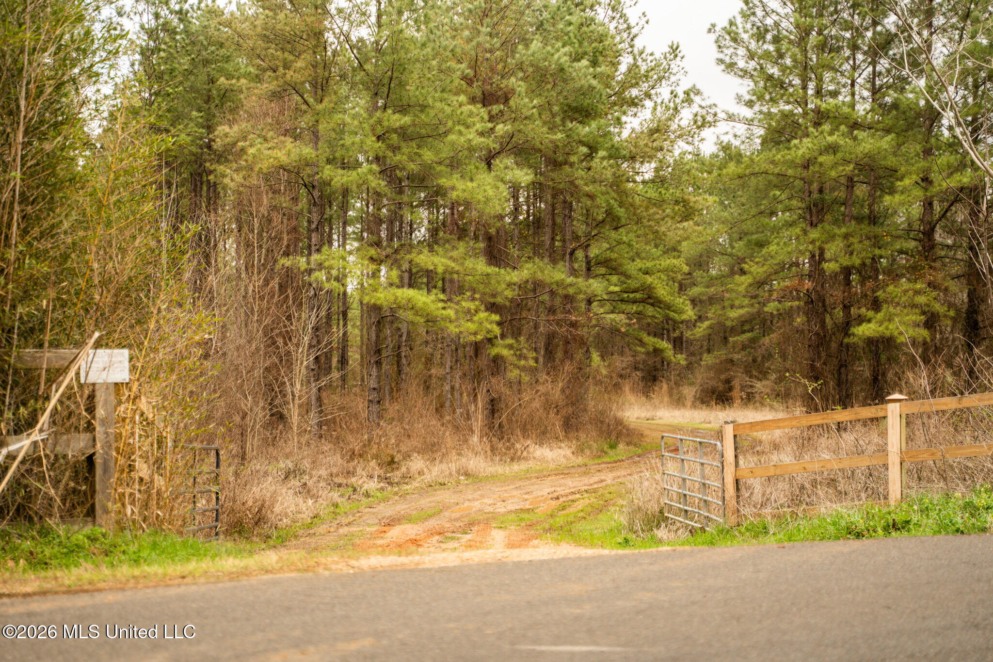 County Road 8 Property Photo 2