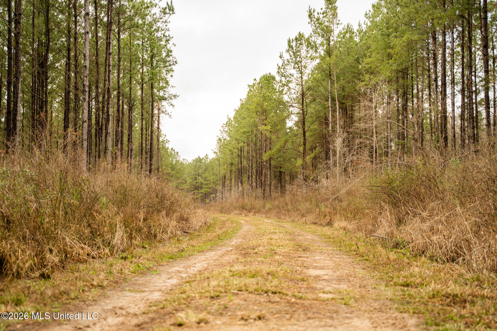 County Road 8 Property Photo 3