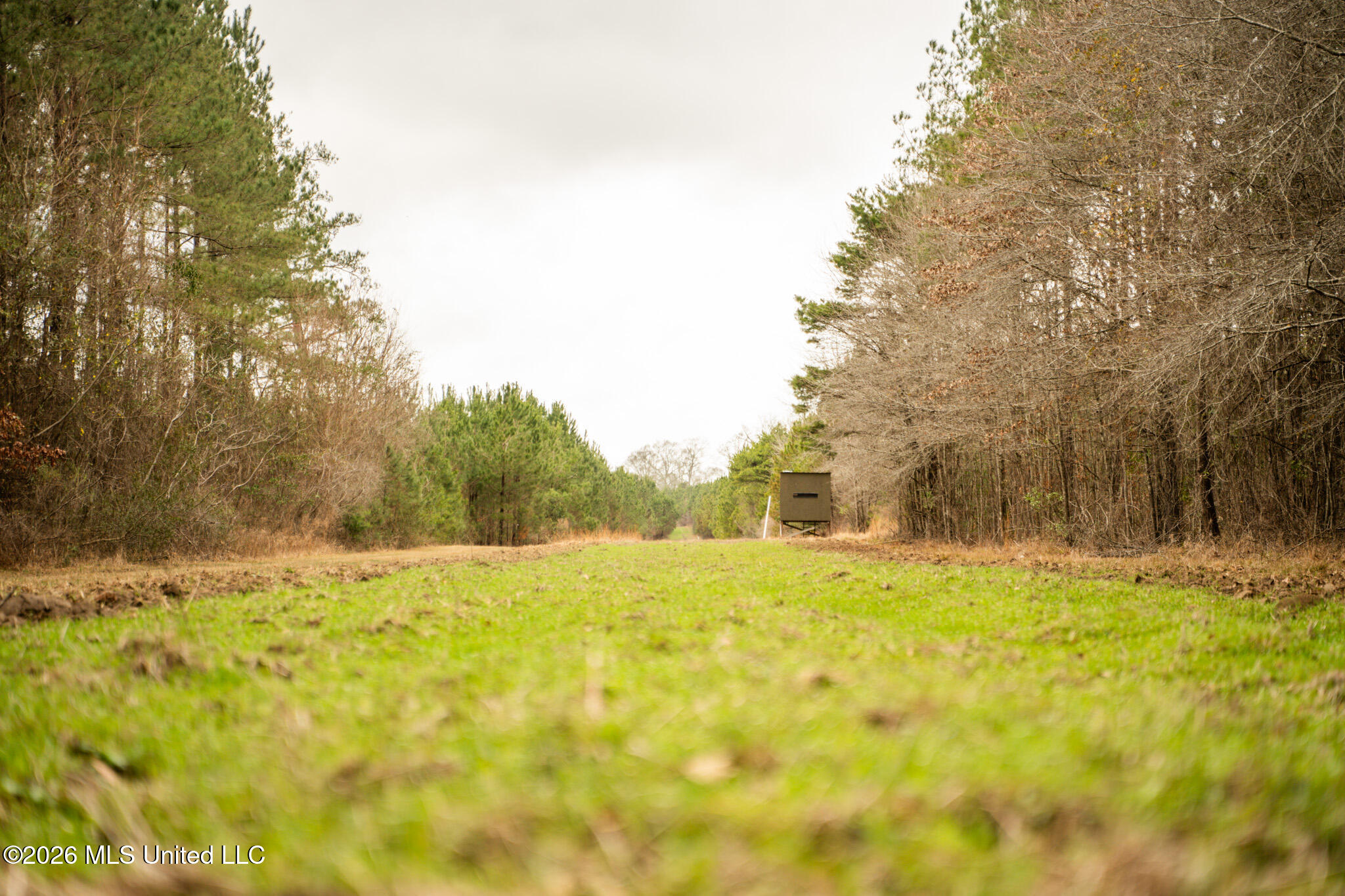 County Road 8 Property Photo 4