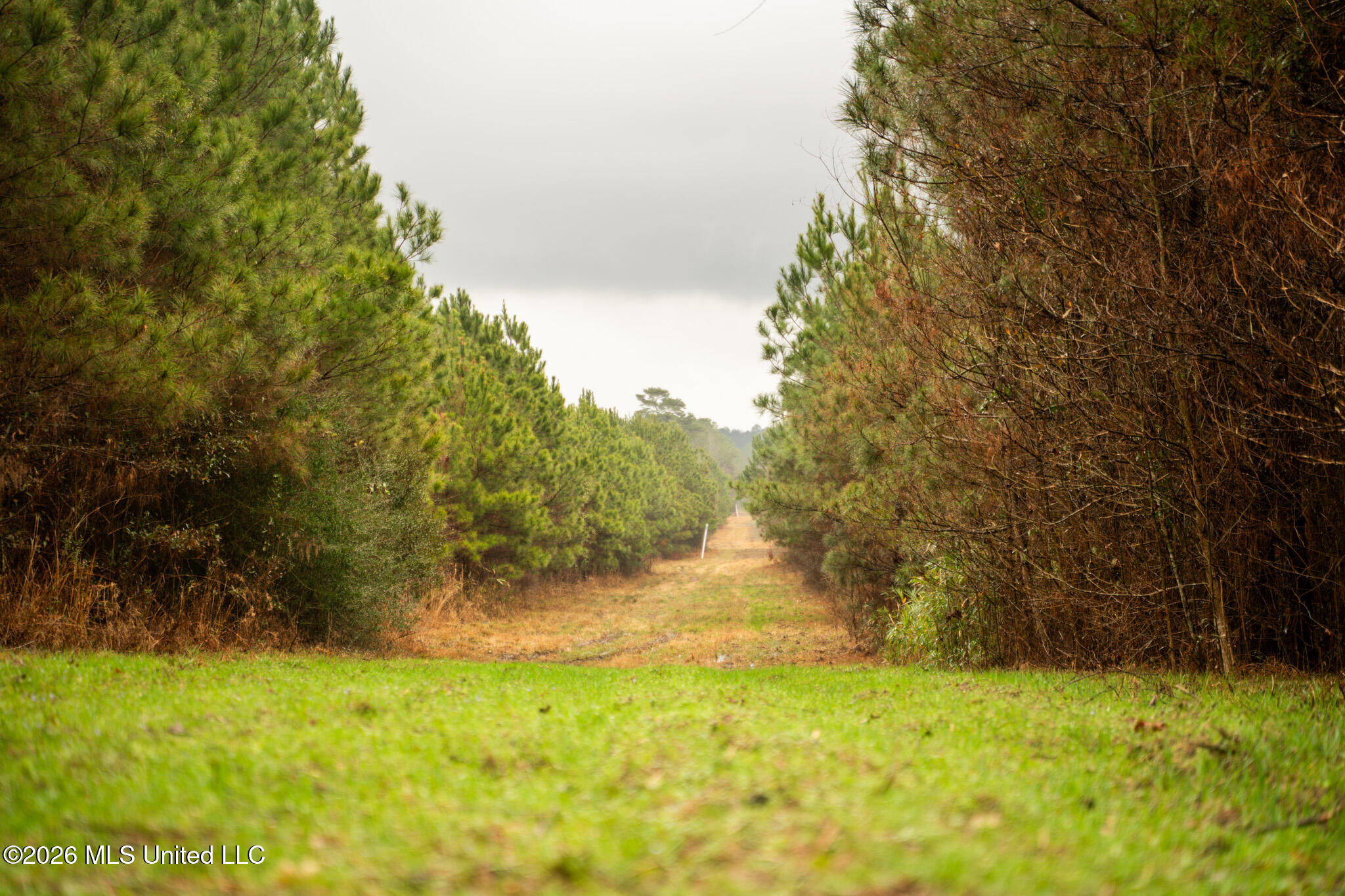 County Road 8 Property Photo 8