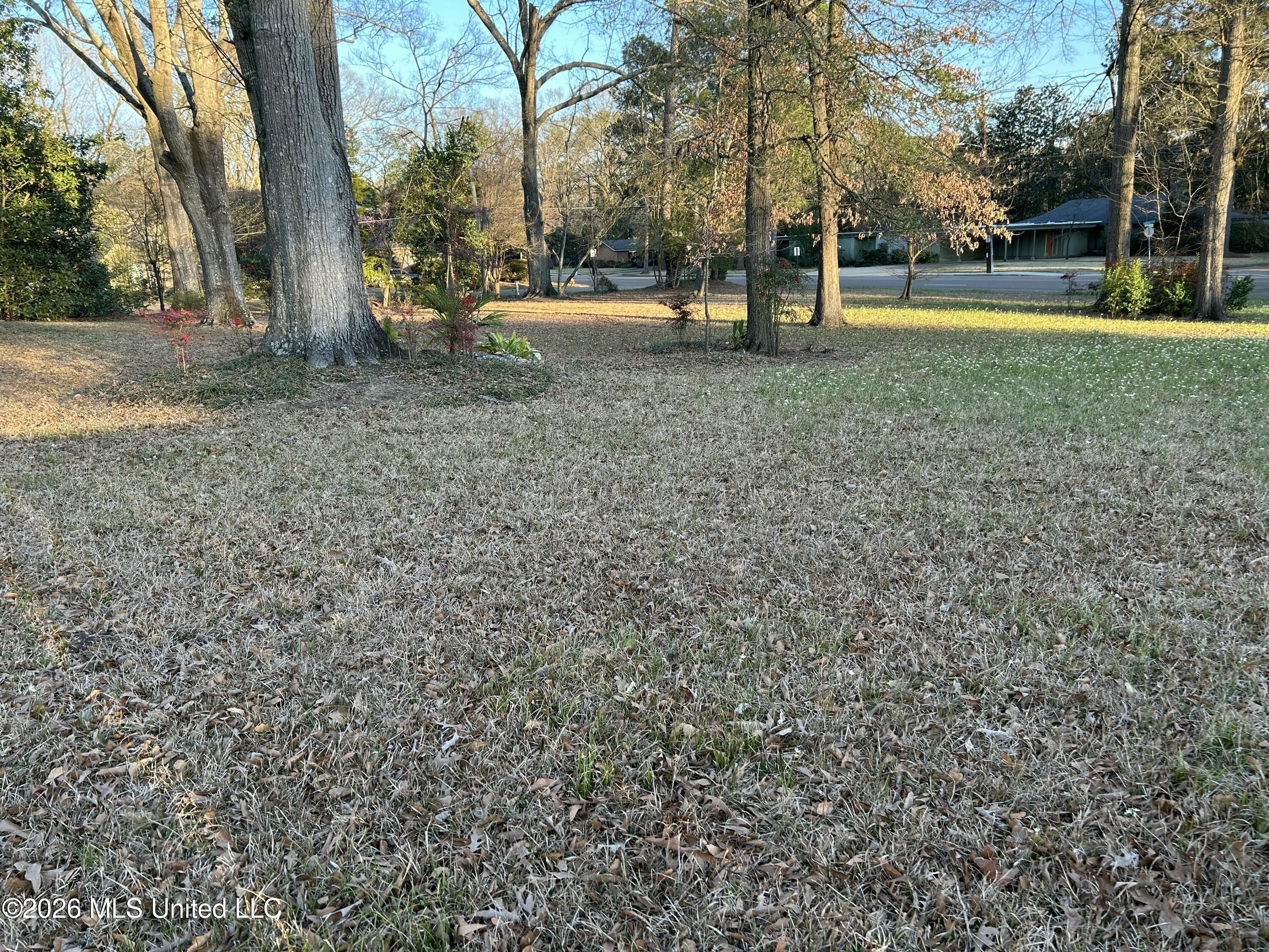 1424 E Northside Drive Property Photo 36
