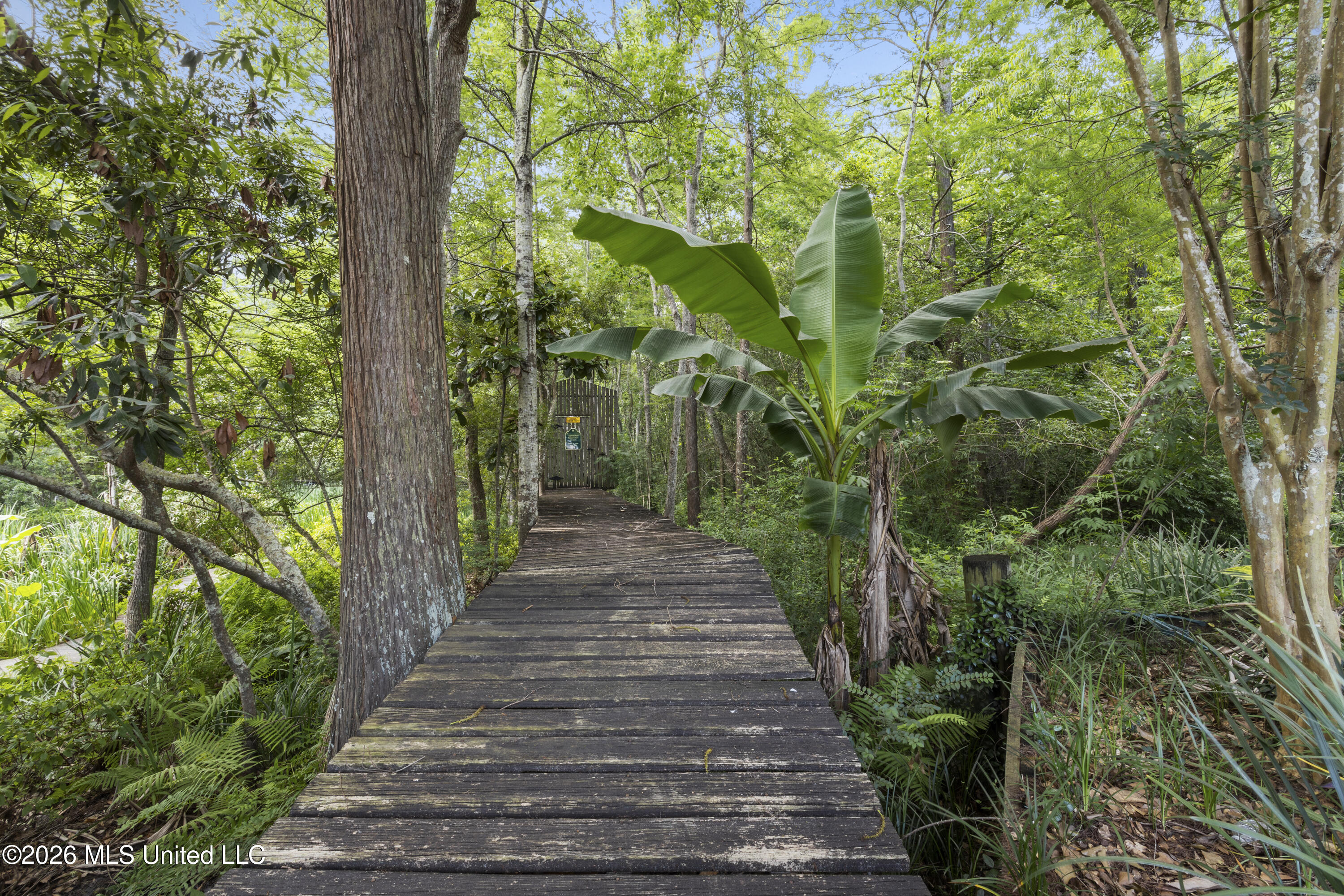 1618 Cypress Lane Property Photo 40