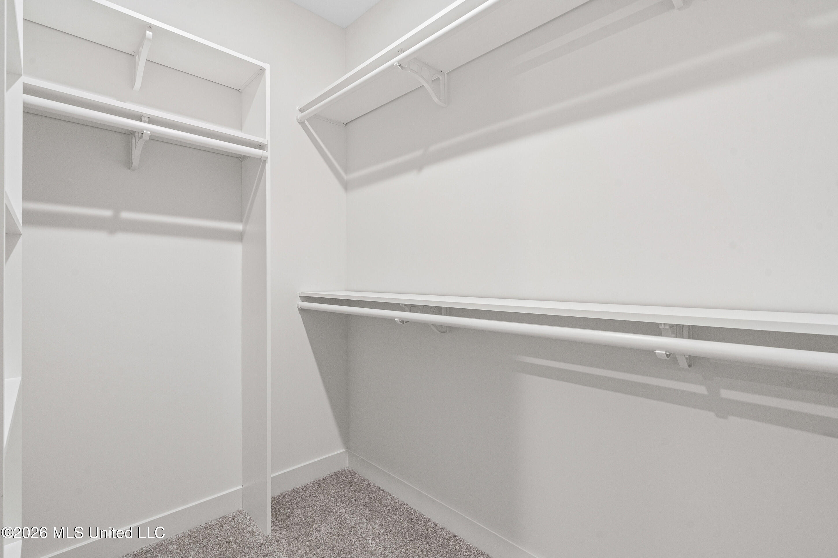 9094 Apple Orchard Cove Property Photo 15