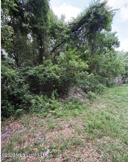 0 N Wright Avenue Property Photo 2