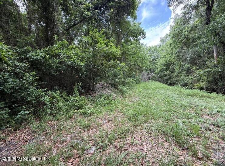 0 N Wright Avenue Property Photo 3