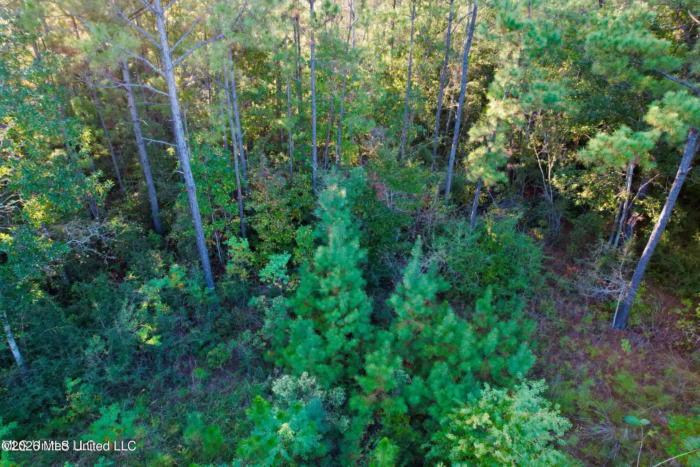 0 Henderson Avenue Property Photo 12