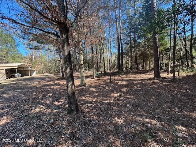 7089 Brown Road Property Photo 5