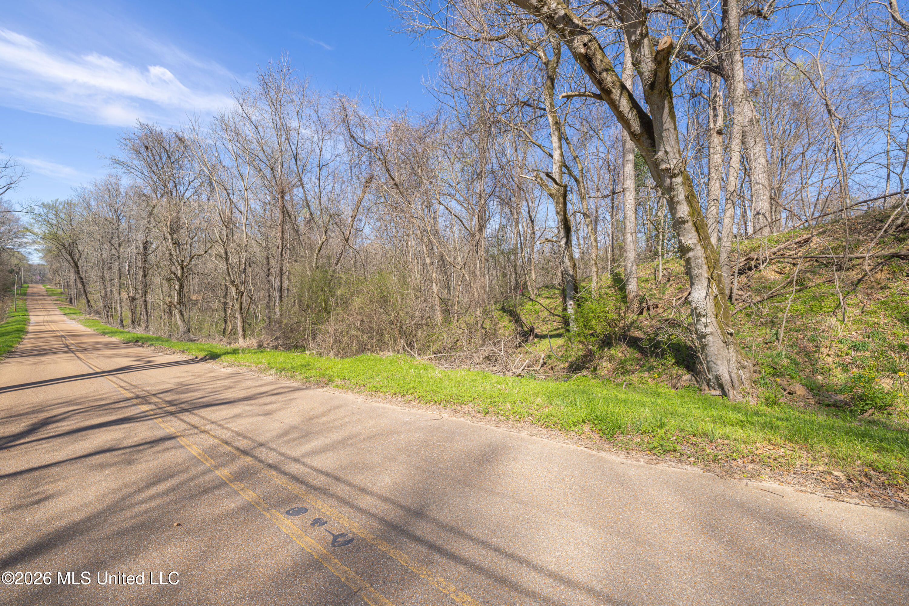 0 Reed Wilson Road Property Photo 1