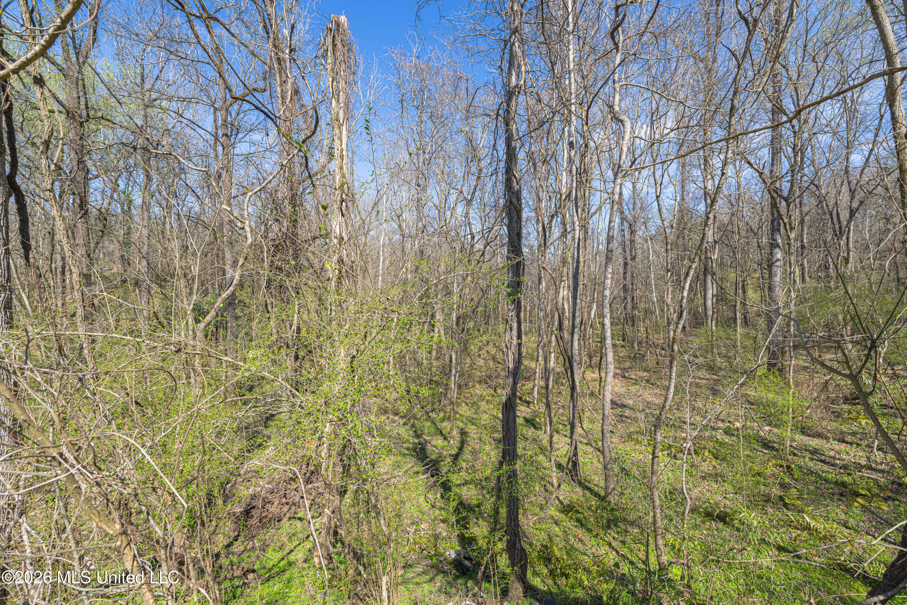 0 Reed Wilson Road Property Photo 2
