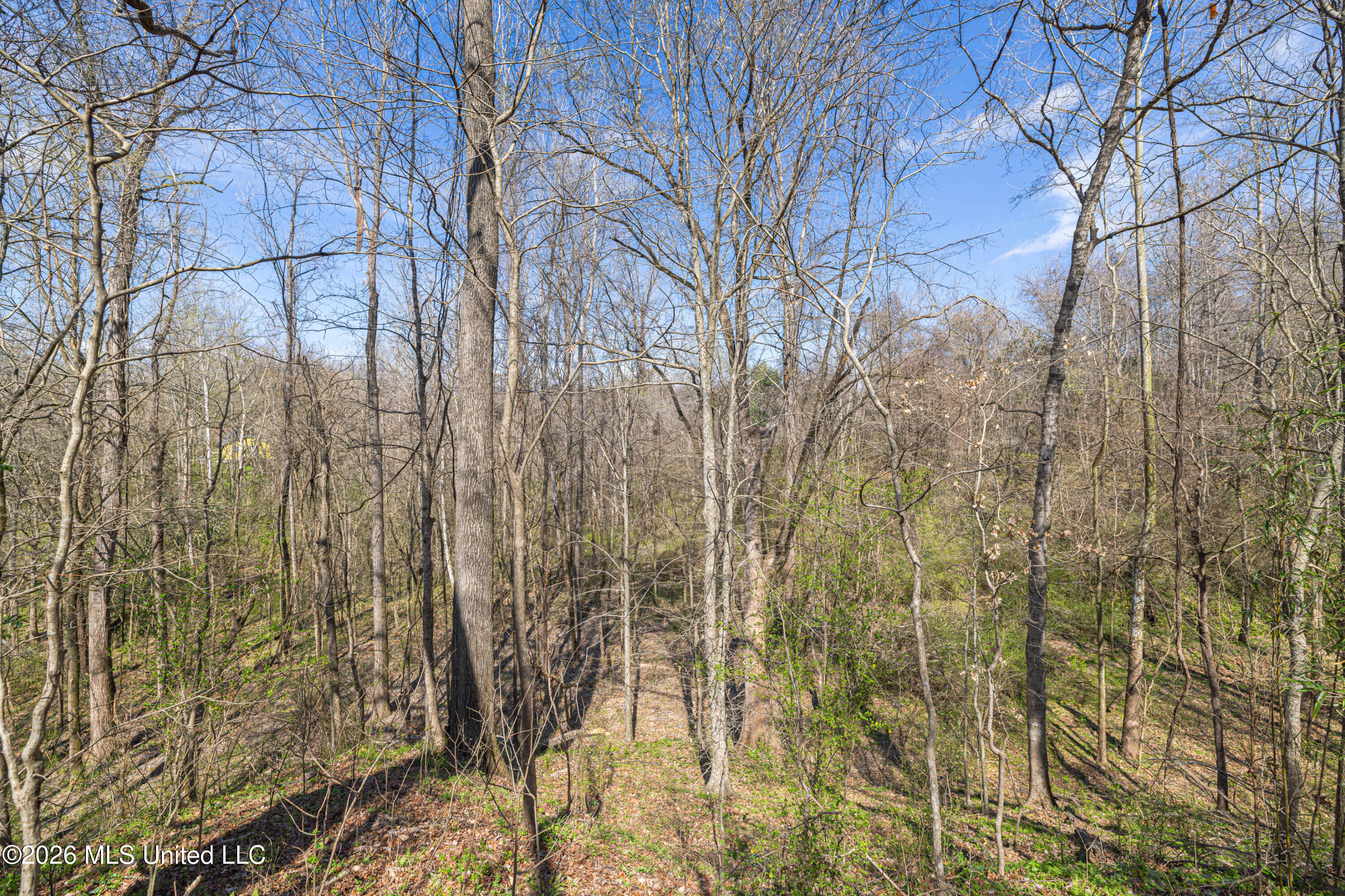 0 Reed Wilson Road Property Photo 3