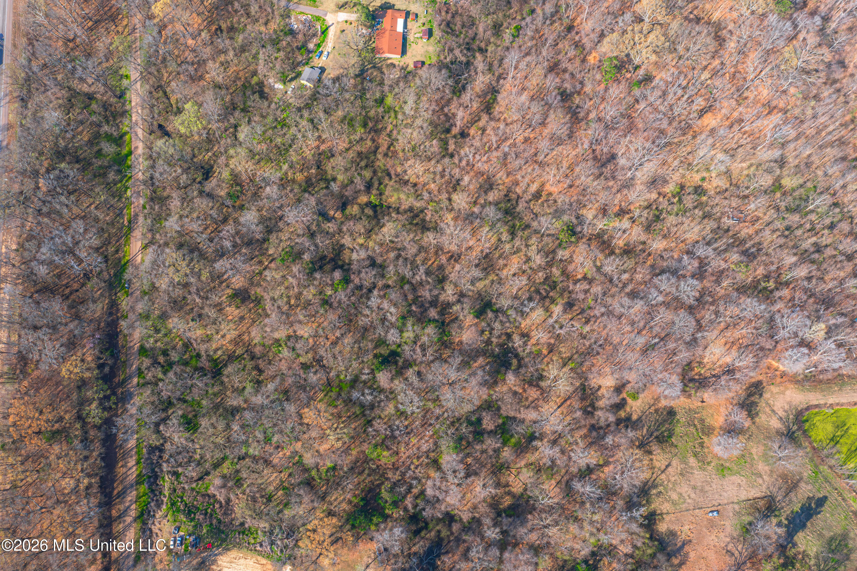 0 Reed Wilson Road Property Photo 10
