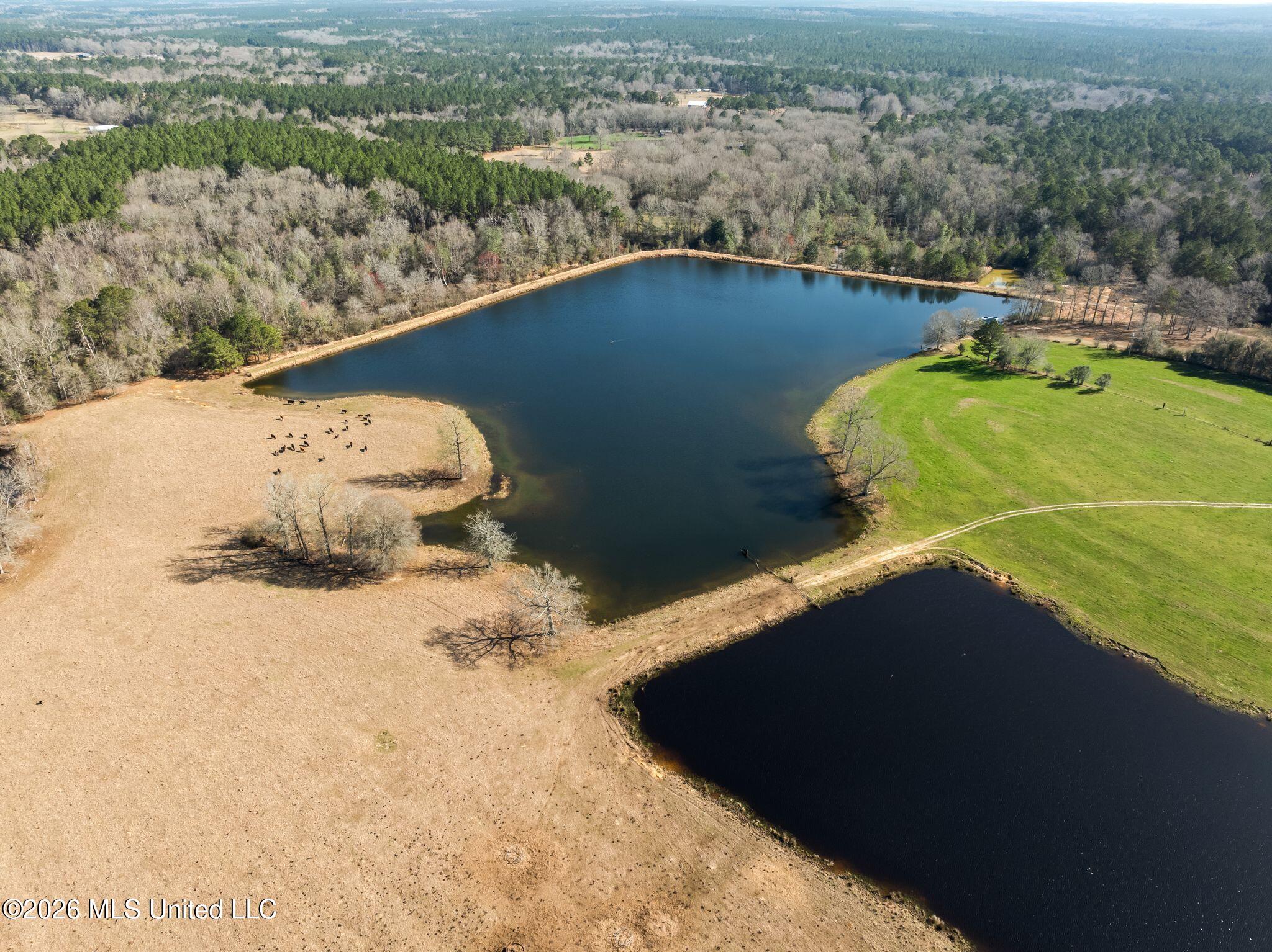 119 Betty Lane Property Photo 44