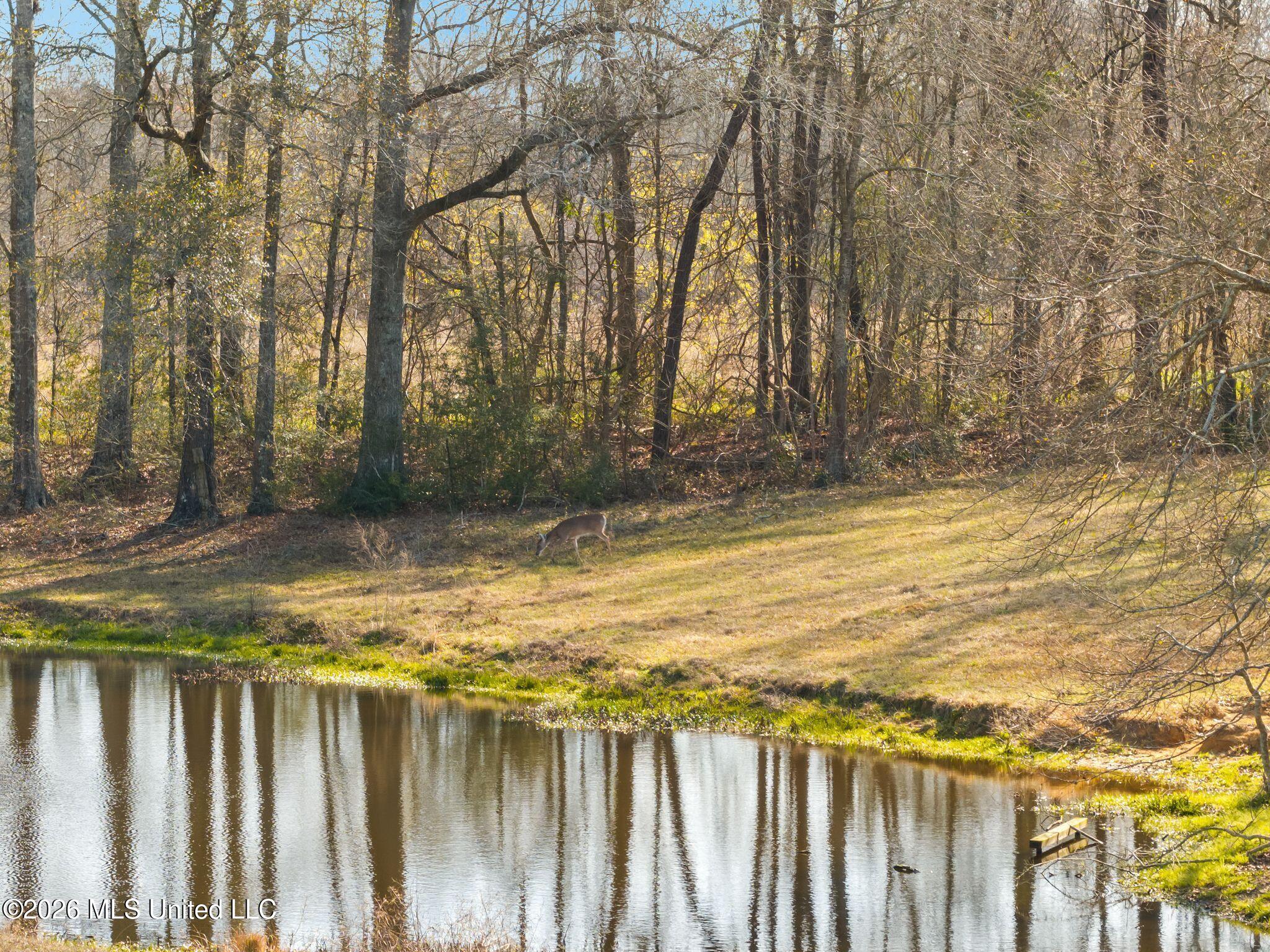119 Betty Lane Property Photo 45