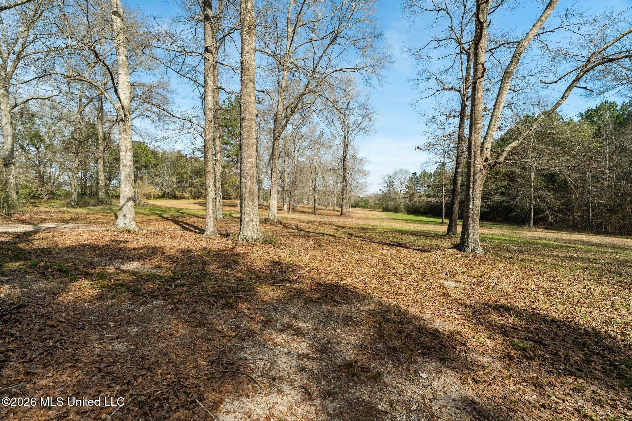 119 Betty Lane Property Photo 53