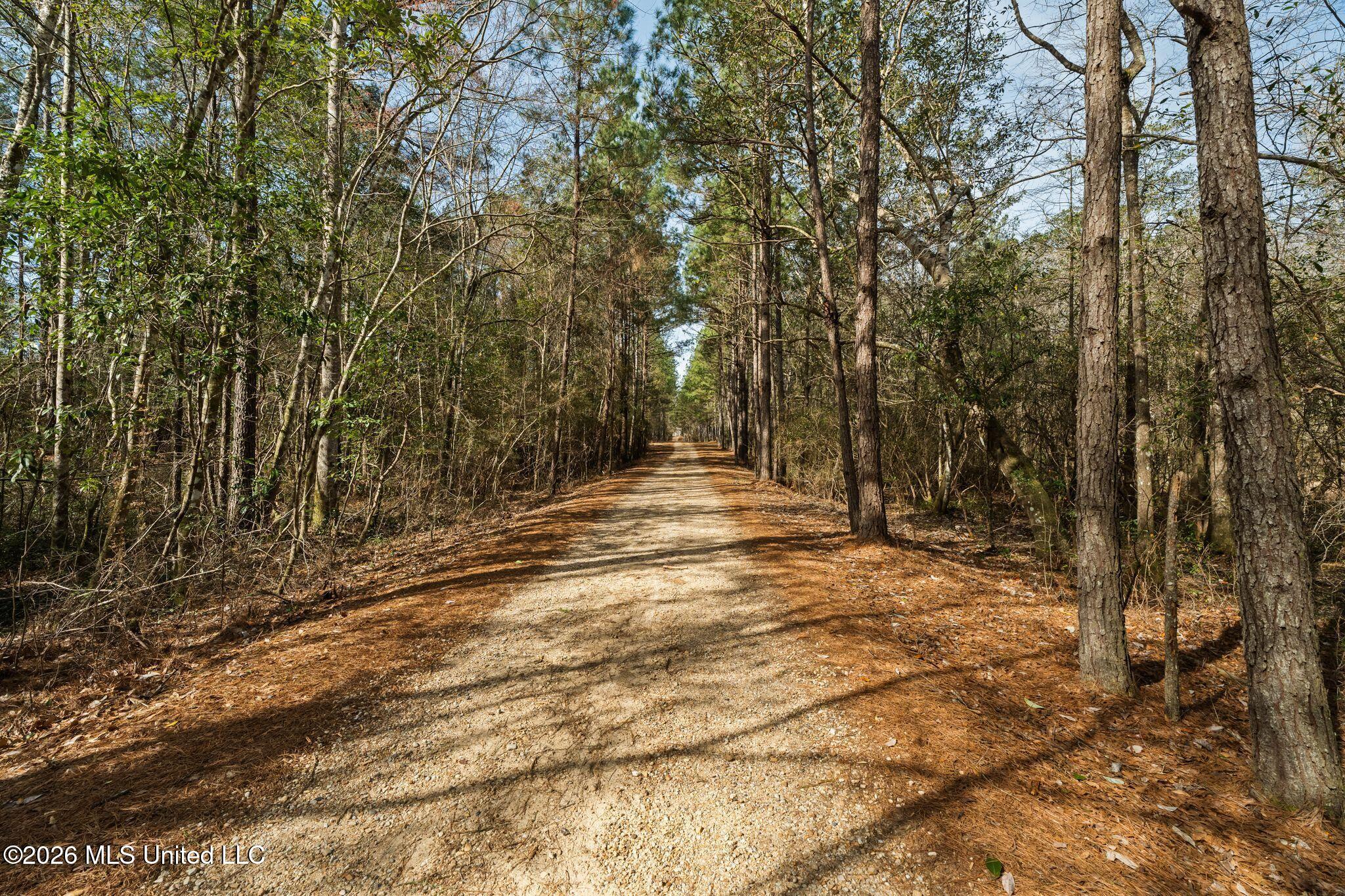 119 Betty Lane Property Photo 67