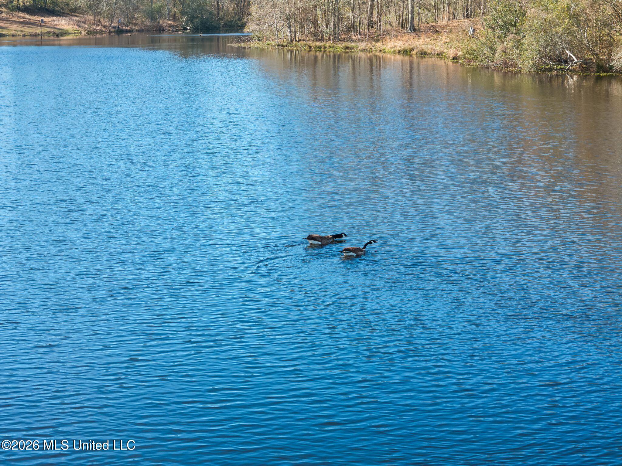119 Betty Lane Property Photo 68