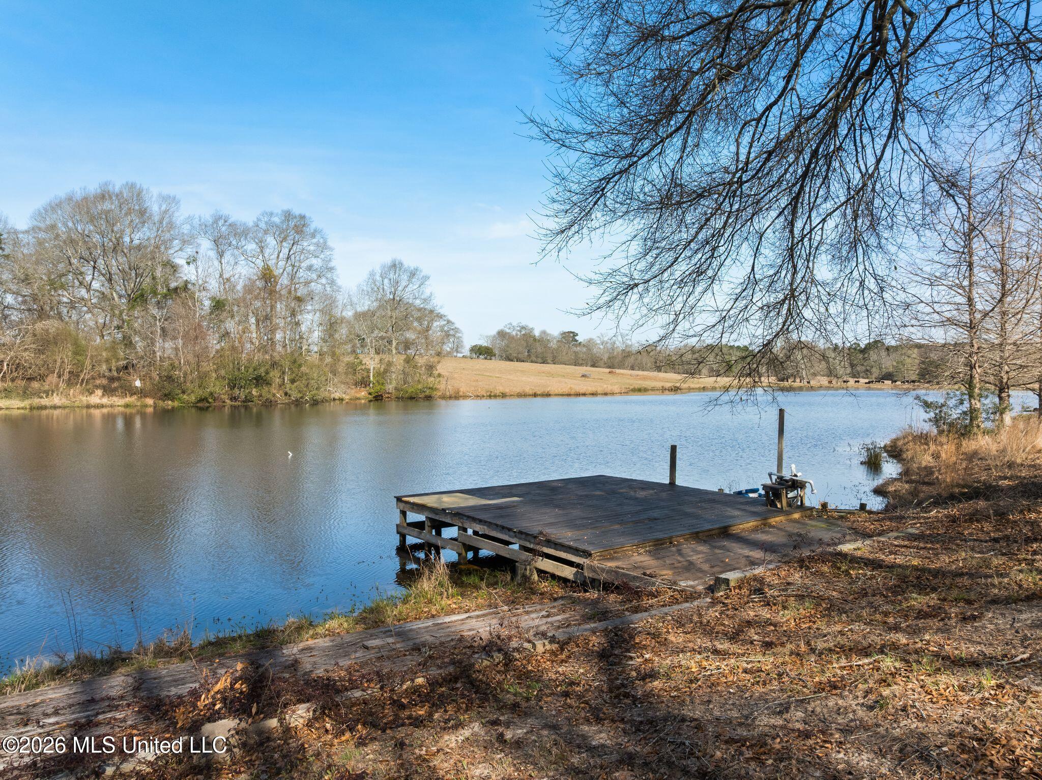119 Betty Lane Property Photo 69