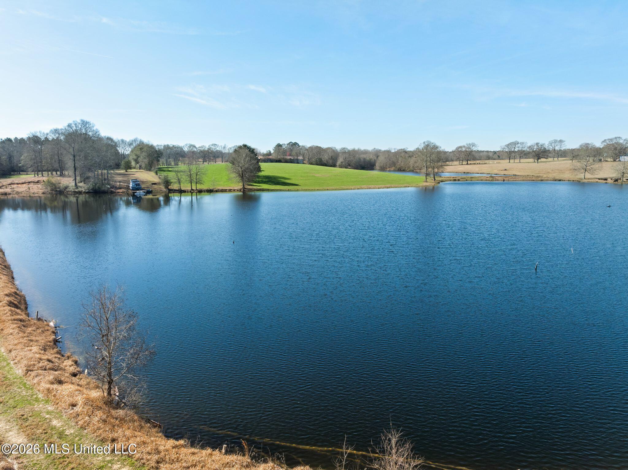 119 Betty Lane Property Photo 71