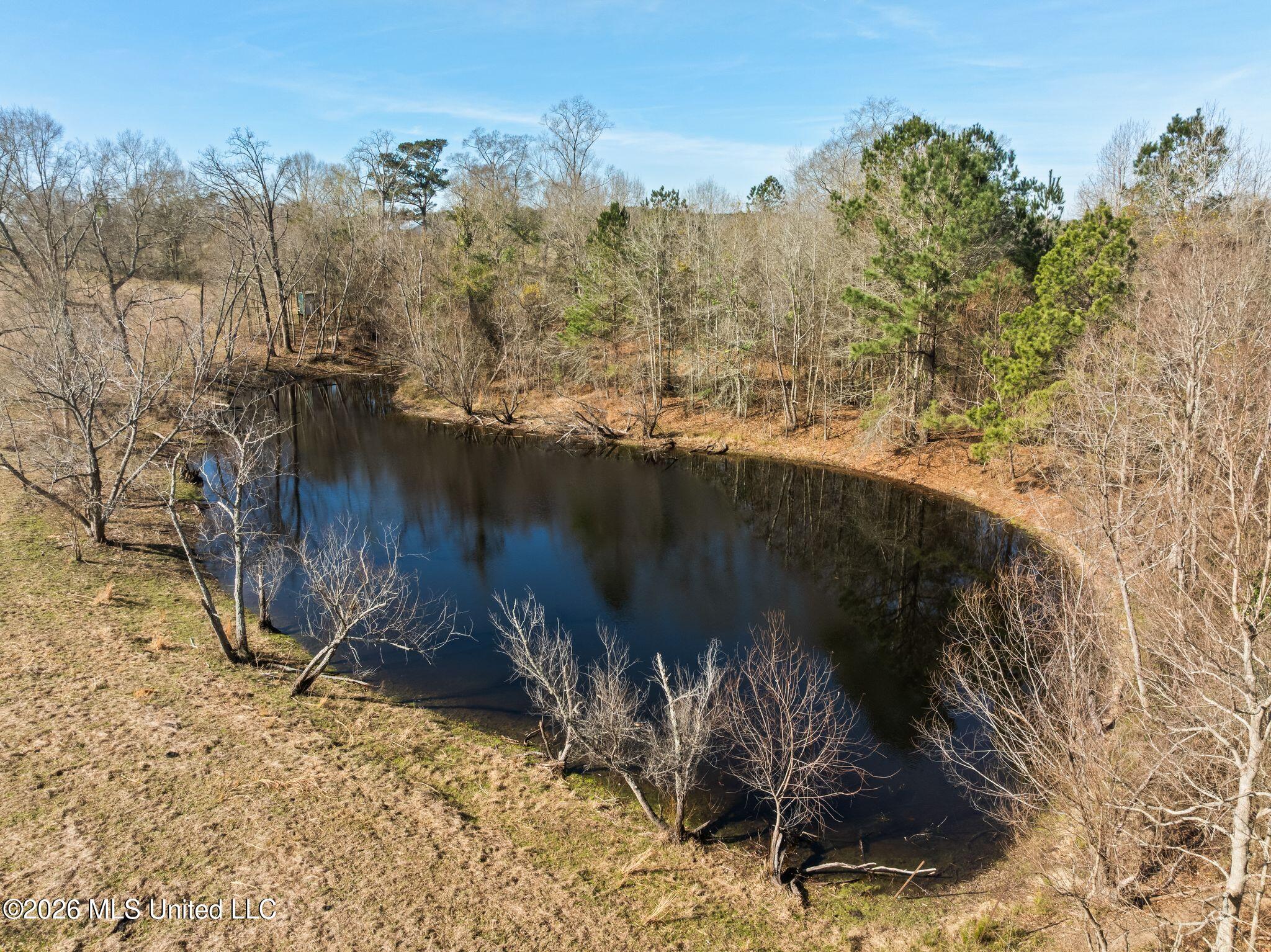 119 Betty Lane Property Photo 72
