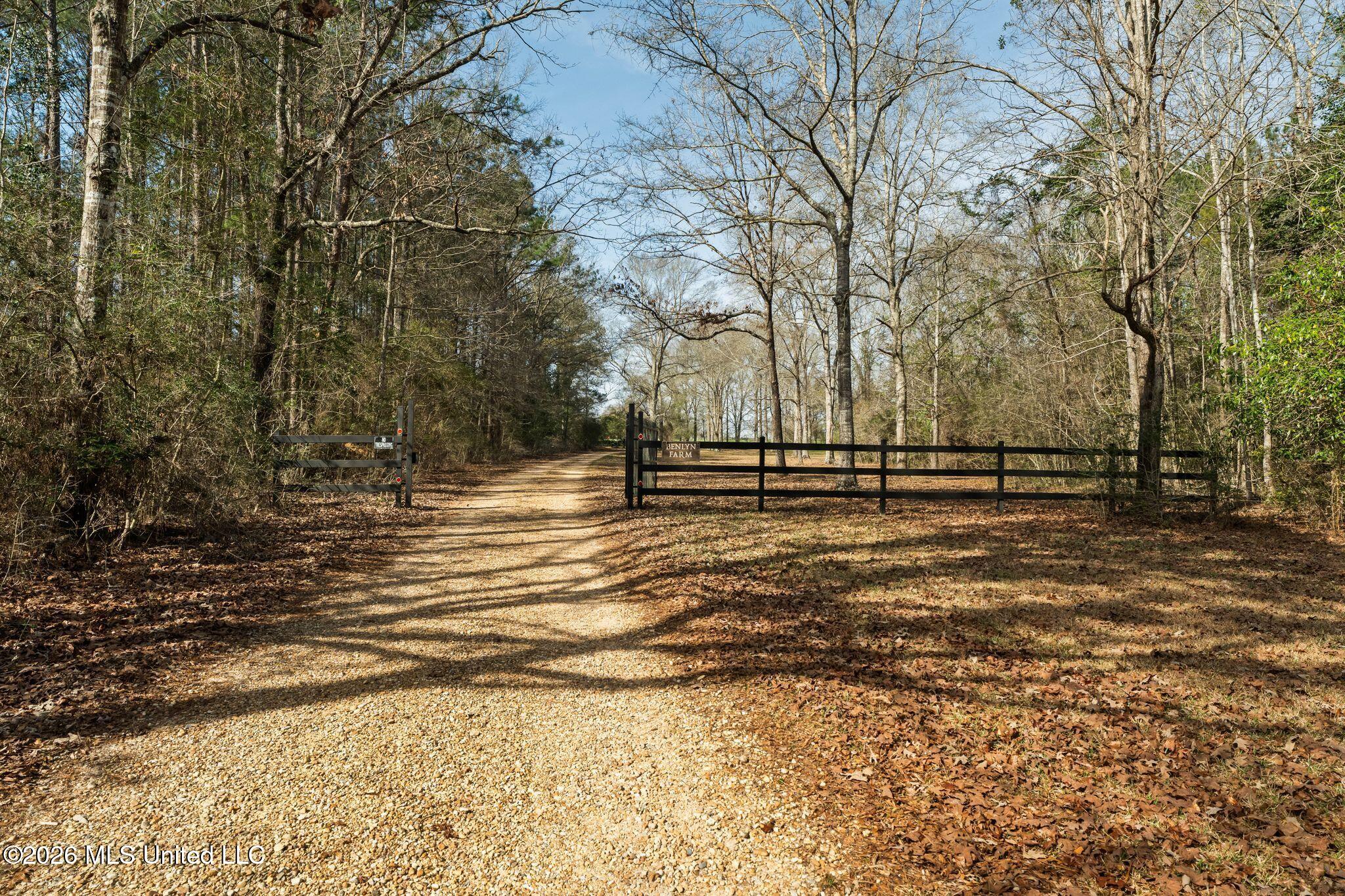 119 Betty Lane Property Photo 73