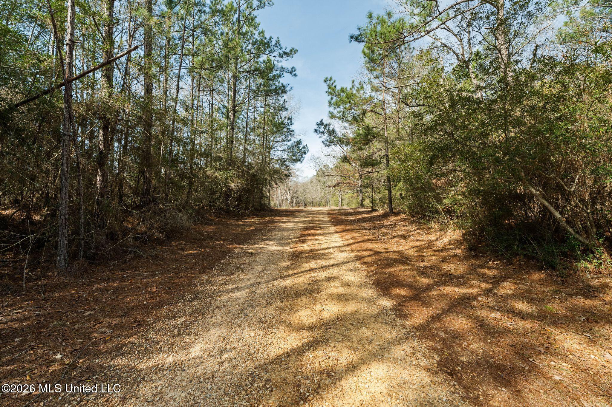 119 Betty Lane Property Photo 74