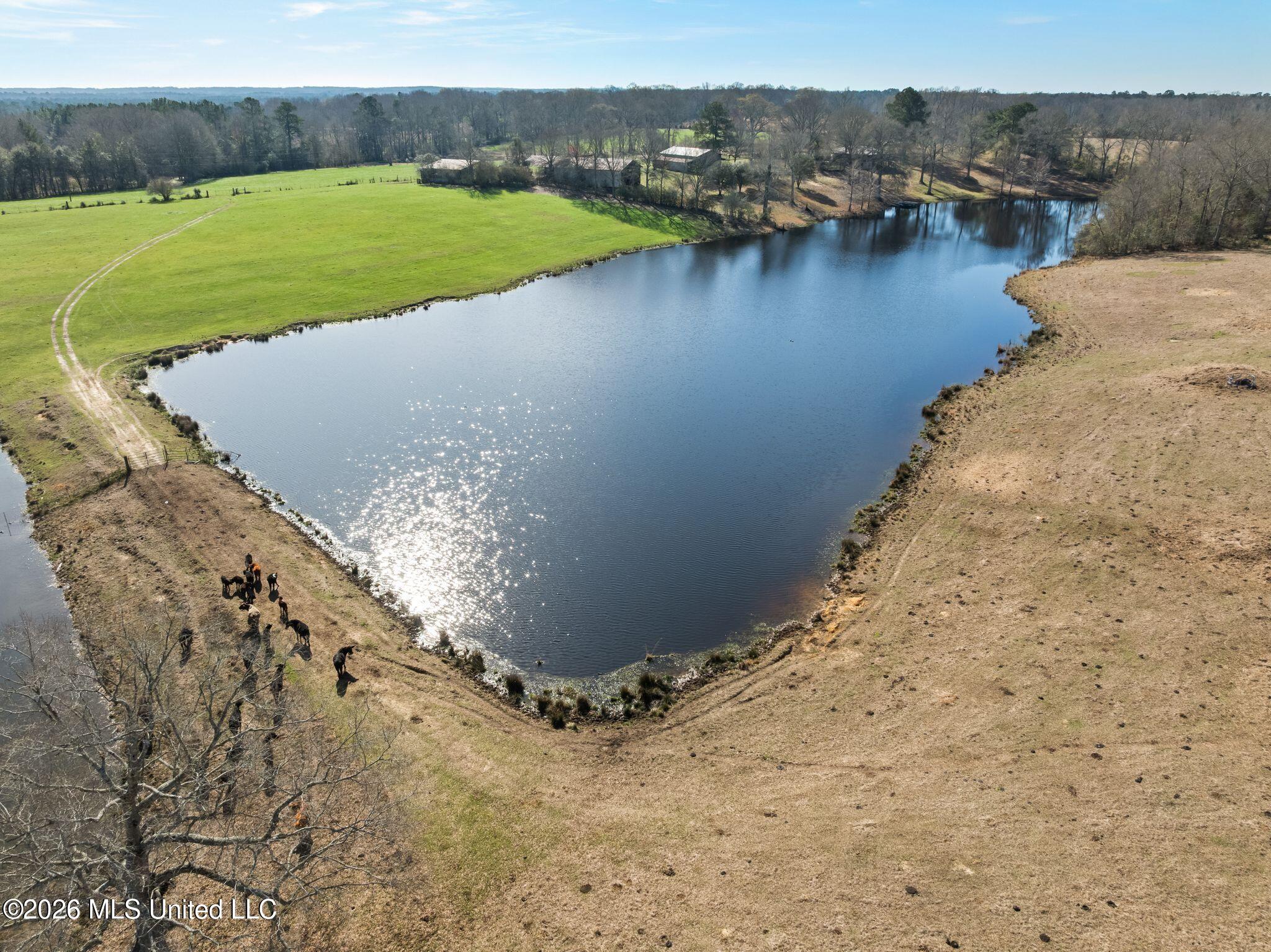 119 Betty Lane Property Photo 75
