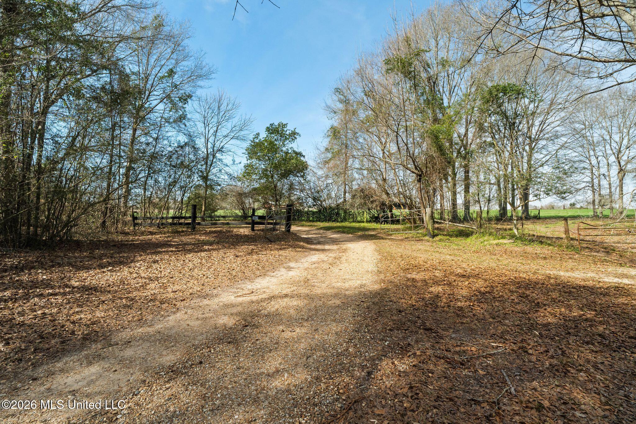 119 Betty Lane Property Photo 76