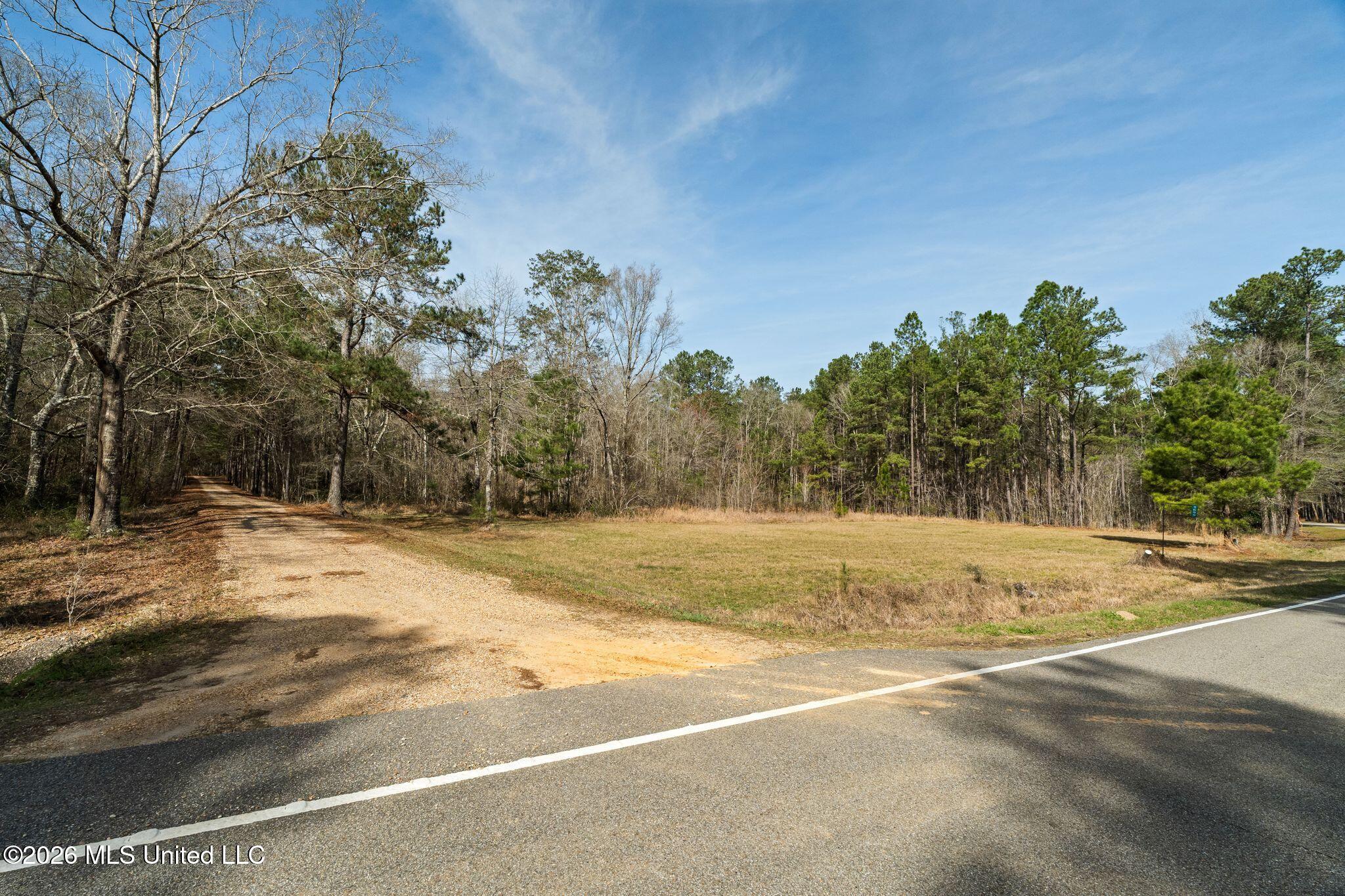 119 Betty Lane Property Photo 79