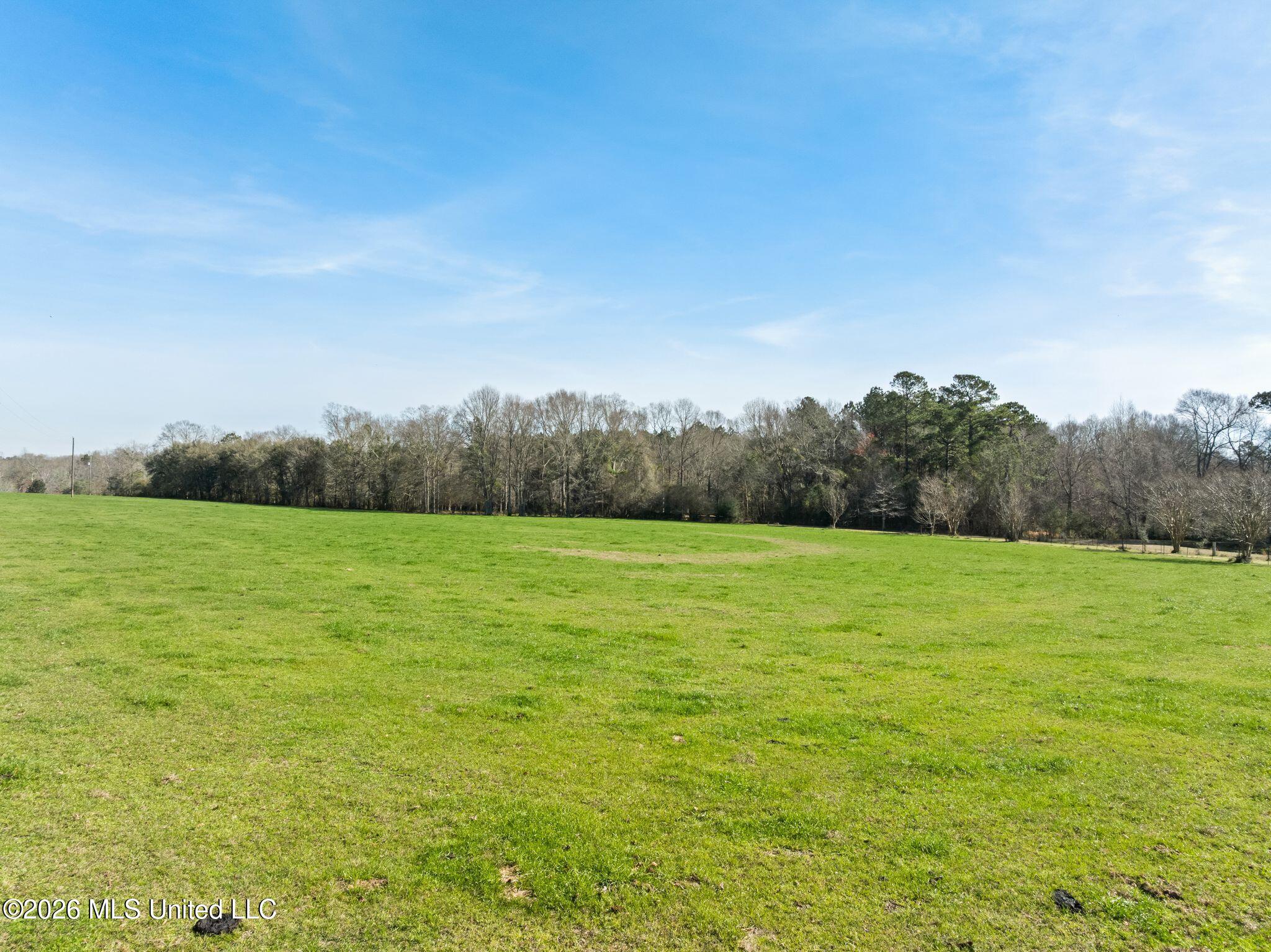 119 Betty Lane Property Photo 80