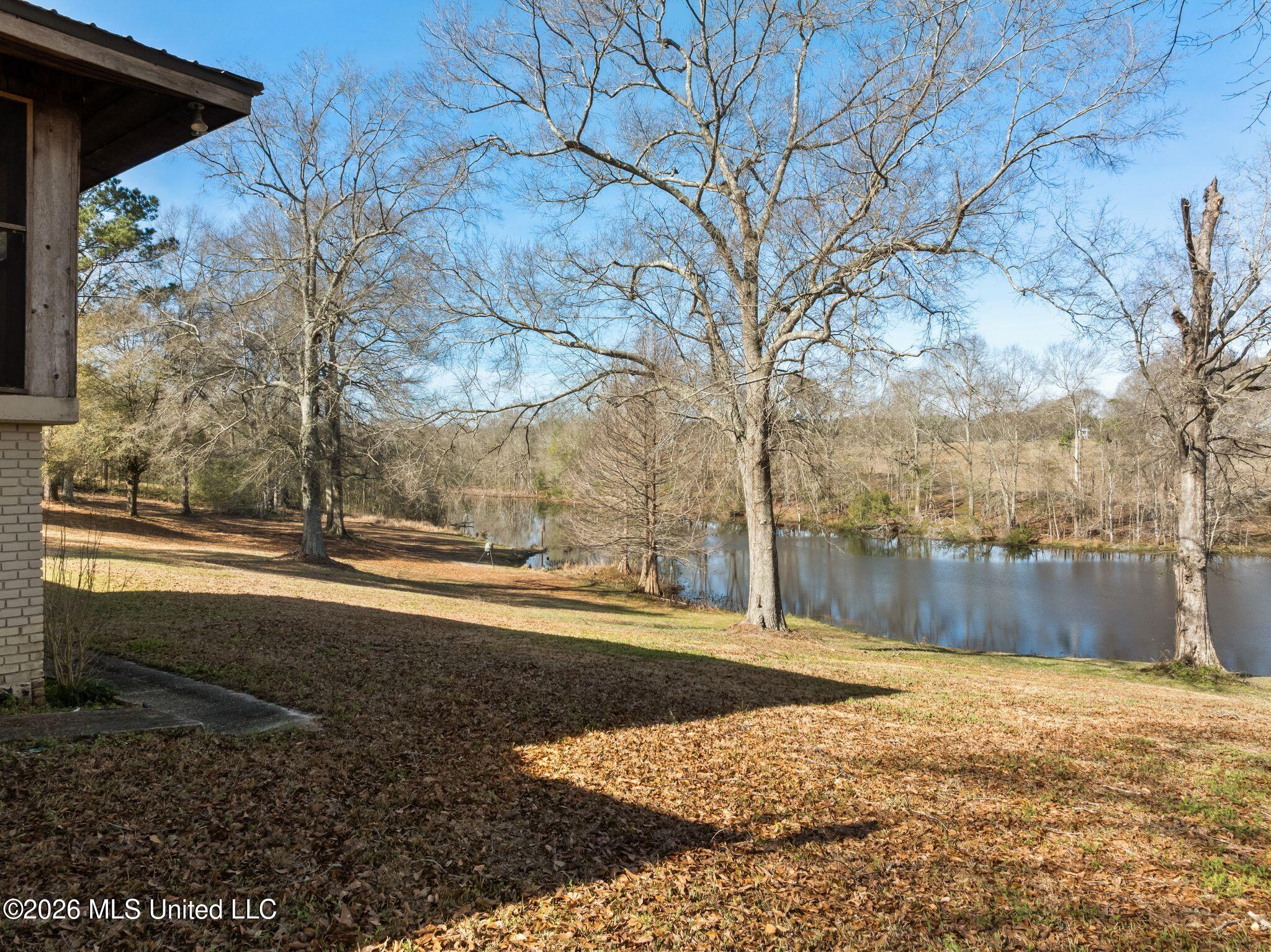 119 Betty Lane Property Photo 82