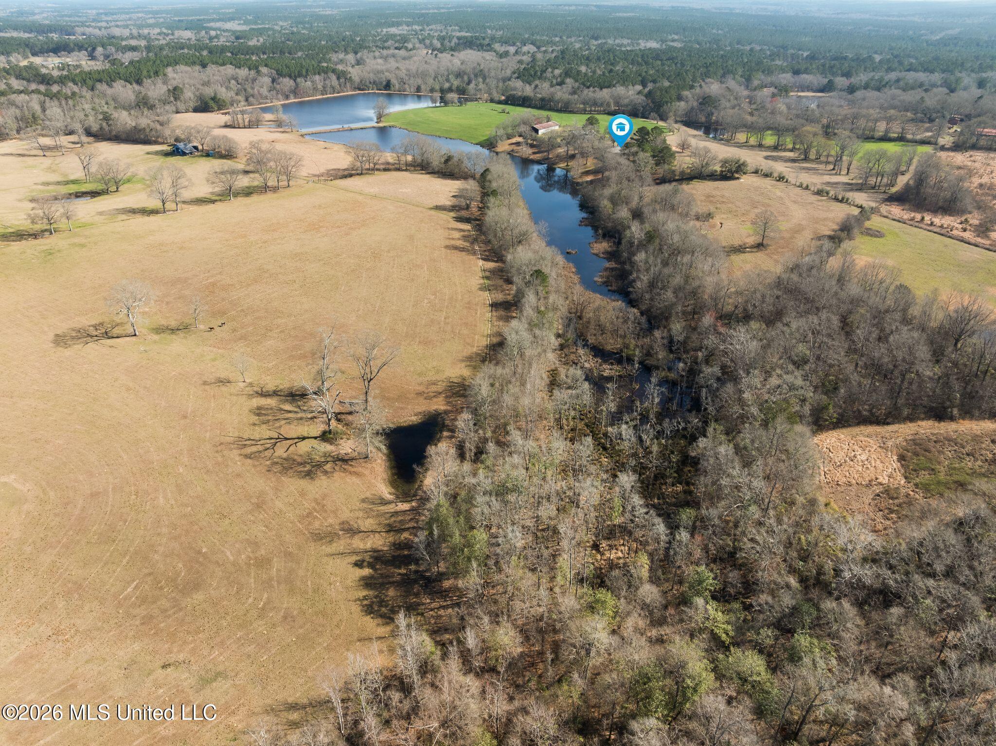 119 Betty Lane Property Photo 83