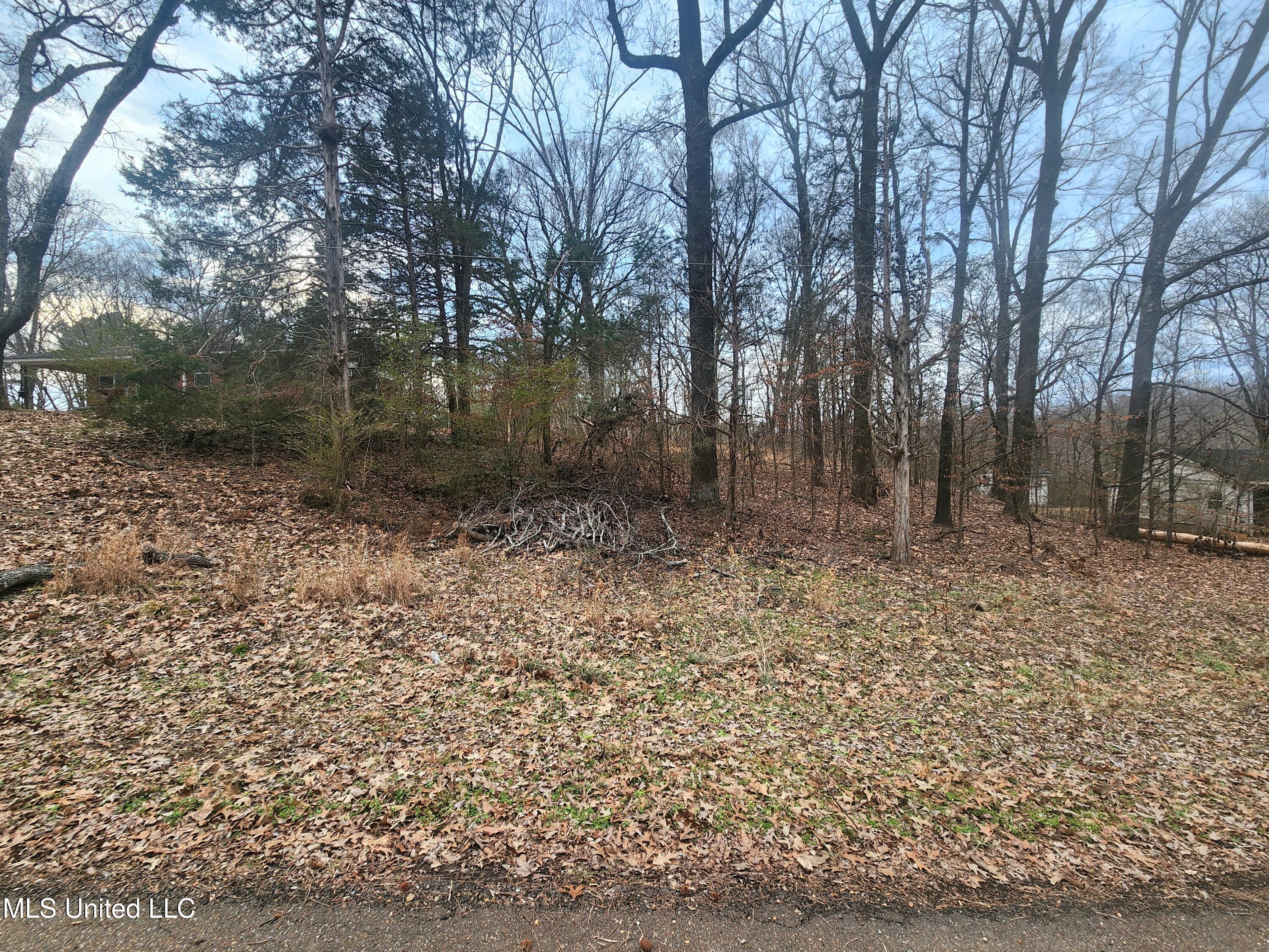 Jackson Road Property Photo 1