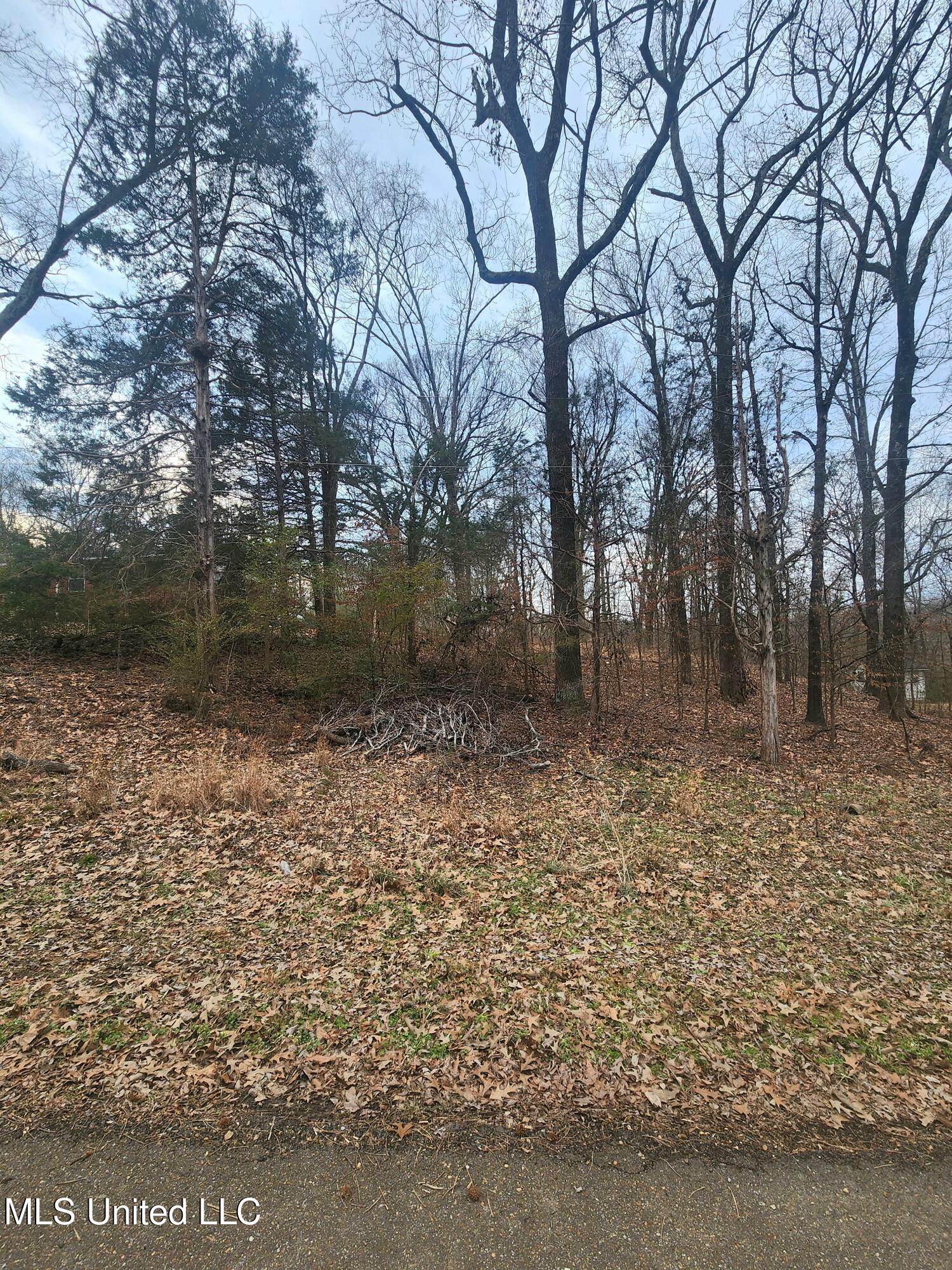Jackson Road Property Photo 2